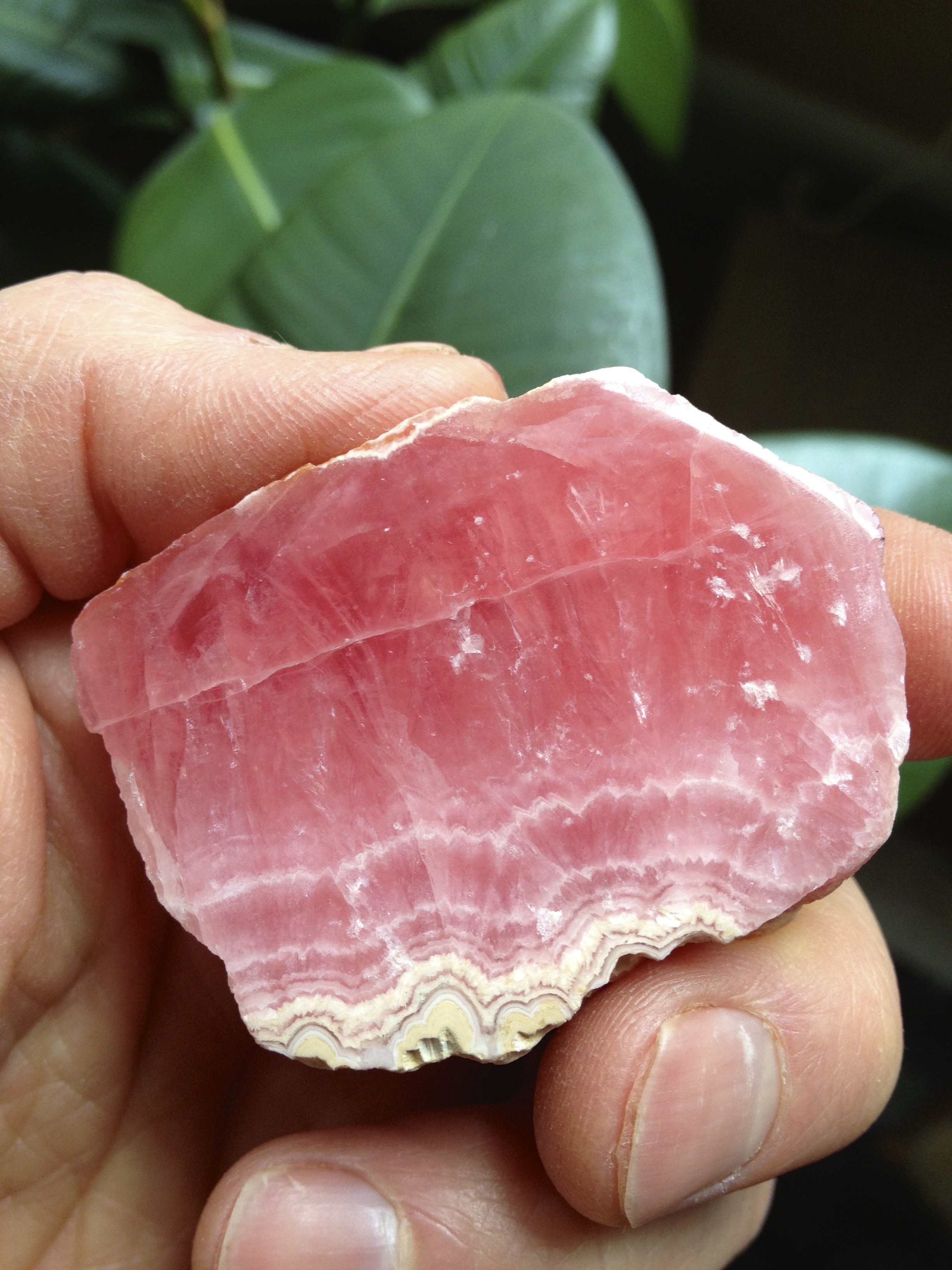 high quality Rhodochrosite chunk, polished to show its color gradations